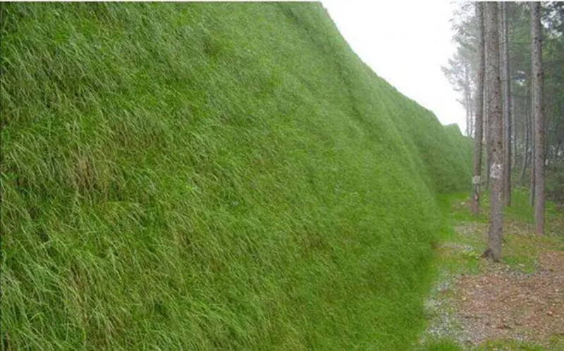 3D -управление эрозией.