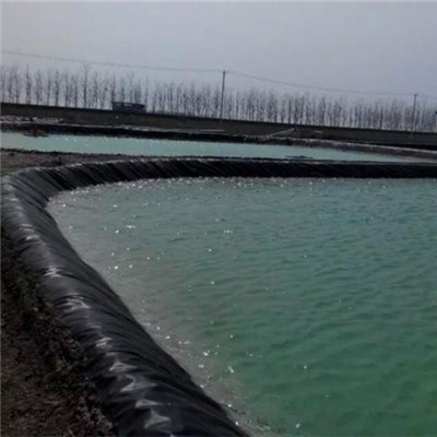Геомембранный вкладыш для Aquaculture.jpg Геомембранный вкладыш для Aquaculture.jpg