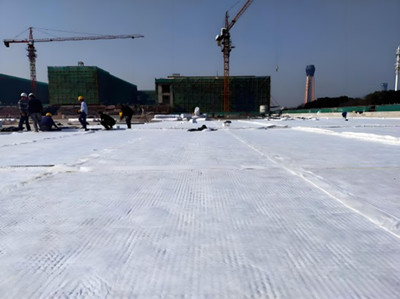 Композитная дренажная доска HDPE.jpg Композитная дренажная доска HDPE.jpg