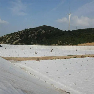 Штапельный волокнистый иглопробивной геотекстиль.jpg Штапельный волокнистый иглопробивной геотекстиль.jpg