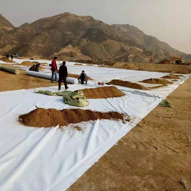 Иглопробивной геотекстиль для стабилизации грунта.jpeg