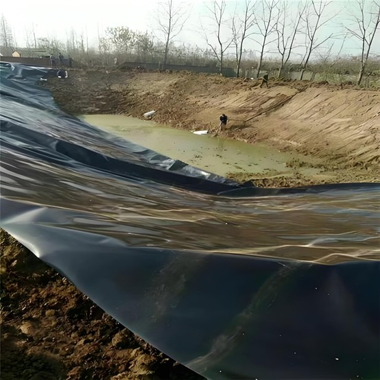 Пленка из HDPE для пруда.jpg Пленка из HDPE для пруда.jpg