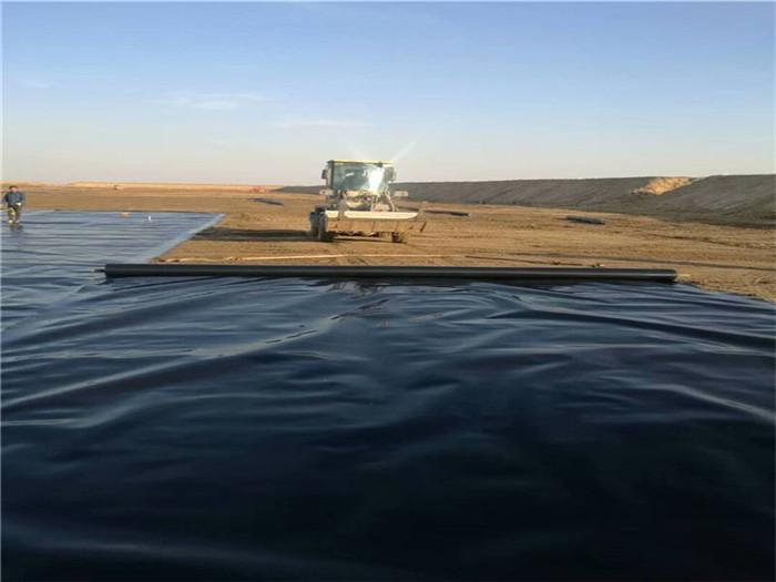 Высококачественная геомембрана для пруда из полиэтилена высокой плотности.jpg