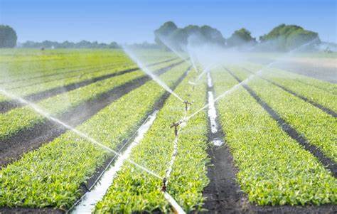 Сбор дождевой воды для орошения.jpg Сбор дождевой воды для орошения.jpg