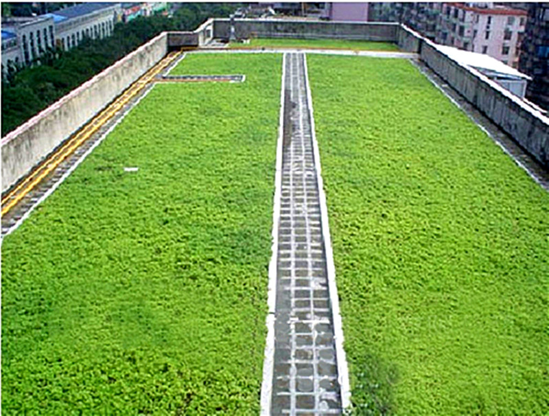 Дренажная доска с углублениями для сада на крыше.jpg Дренажная доска с углублениями для сада на крыше.jpg