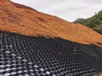 Geocell for slope protection.jpg