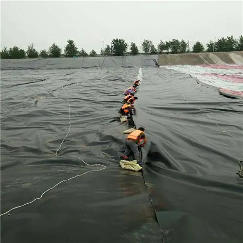 Геомембрана HDPE для пруда.png Геомембрана HDPE для пруда.png