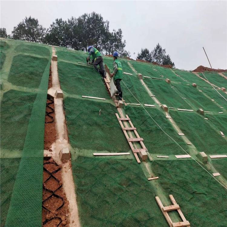 3D Geomat Installtion River Slope.jpg