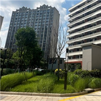 Строительство «Губчатого города».jpg Строительство «Губчатого города».jpg